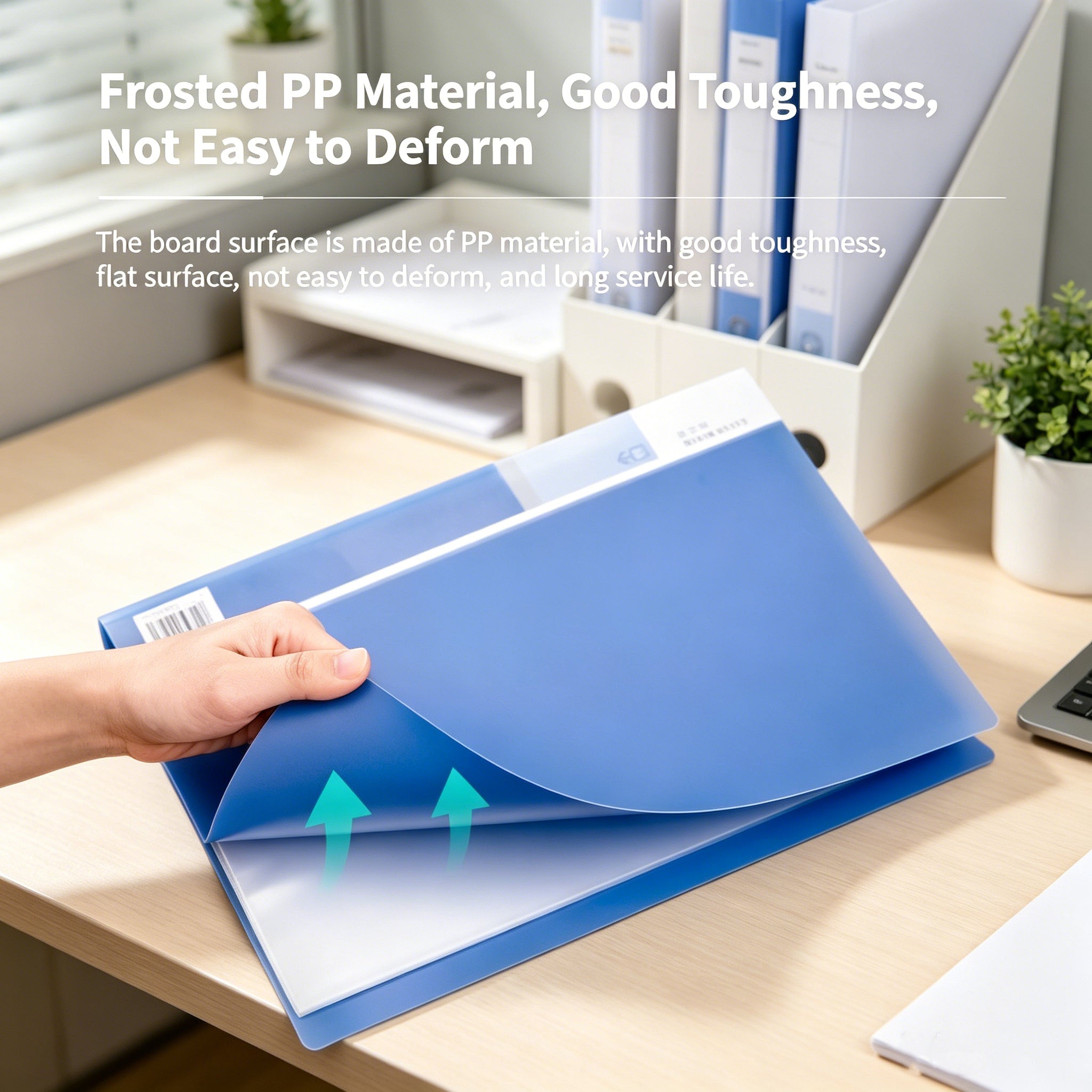 6921734950055 - 60-Pocket Display Book