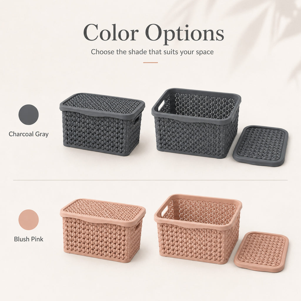 8694917006235 - 2.5L Storage Box with Lid - 19（底部）×12.8×10.5