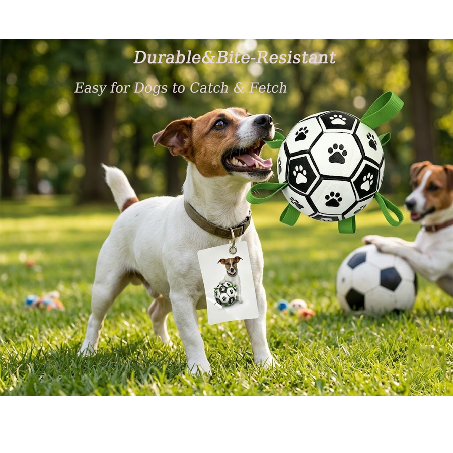 8882602041493 - Interactive Dog Soccer Ball Toy