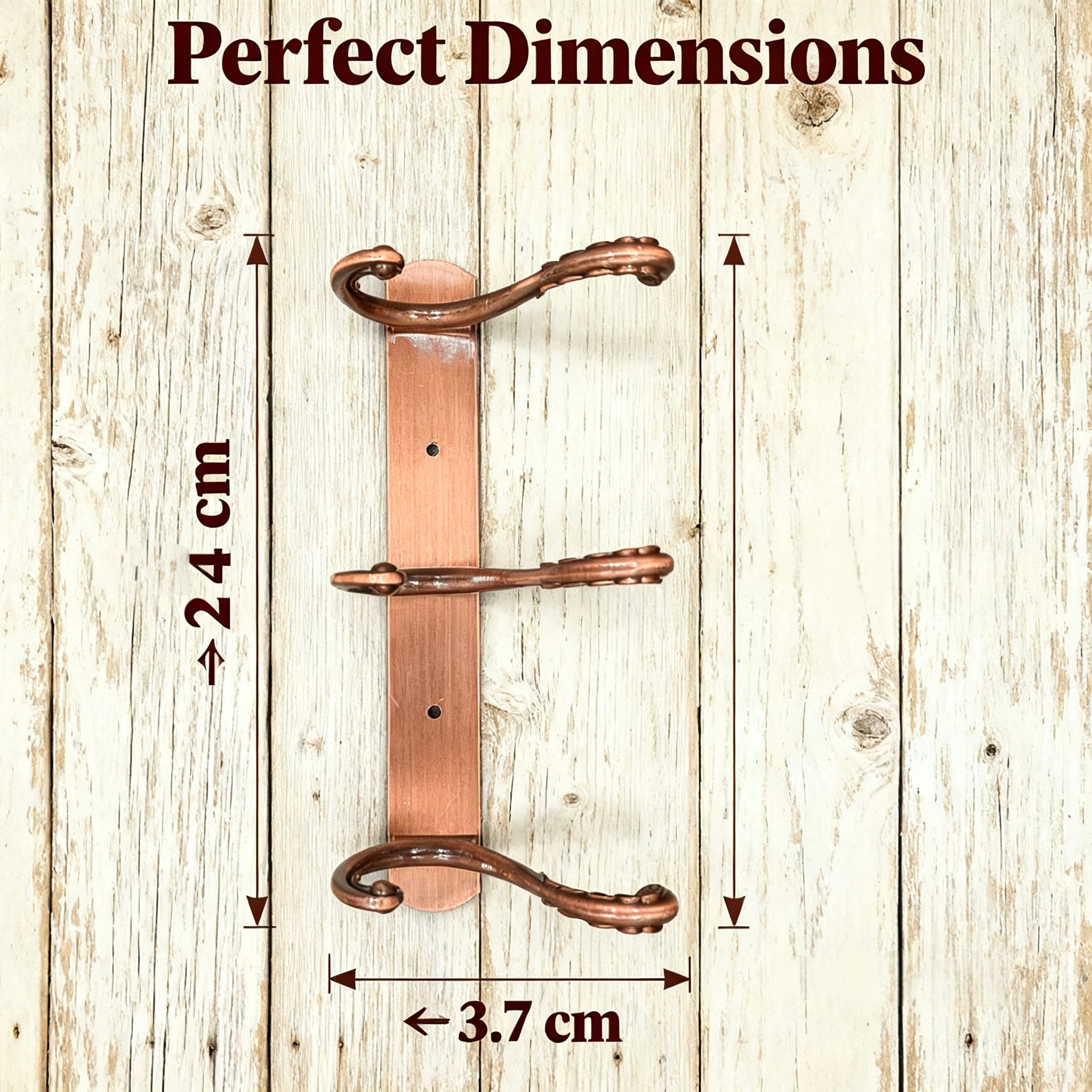 898821 - 3-Hook Wall Mounted Coat Rack - 24cm×3.7cm